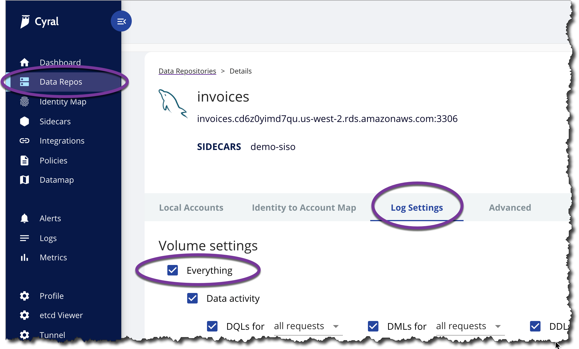 Clicking the Log Everything button to monitor all activity on a database